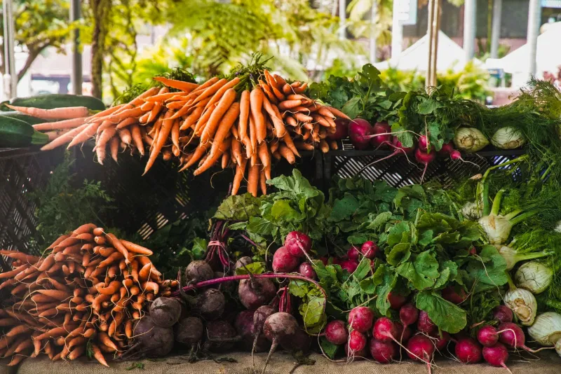 The 48-Hour Window: Why the Freshest Produce You Can Find Is Worth Every Extra Dollar